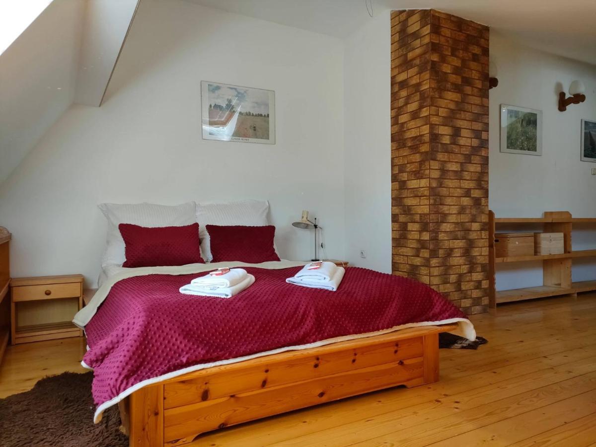 Apartament W Centrum Przy Kominku Zakopane Ngoại thất bức ảnh